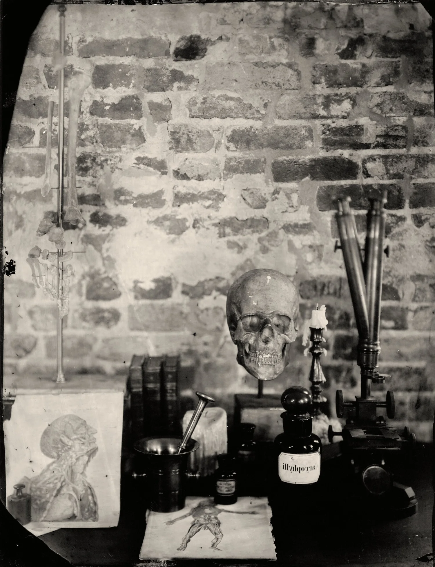 The Anatomist, wet-collodion tintype by Paige Whitcomb